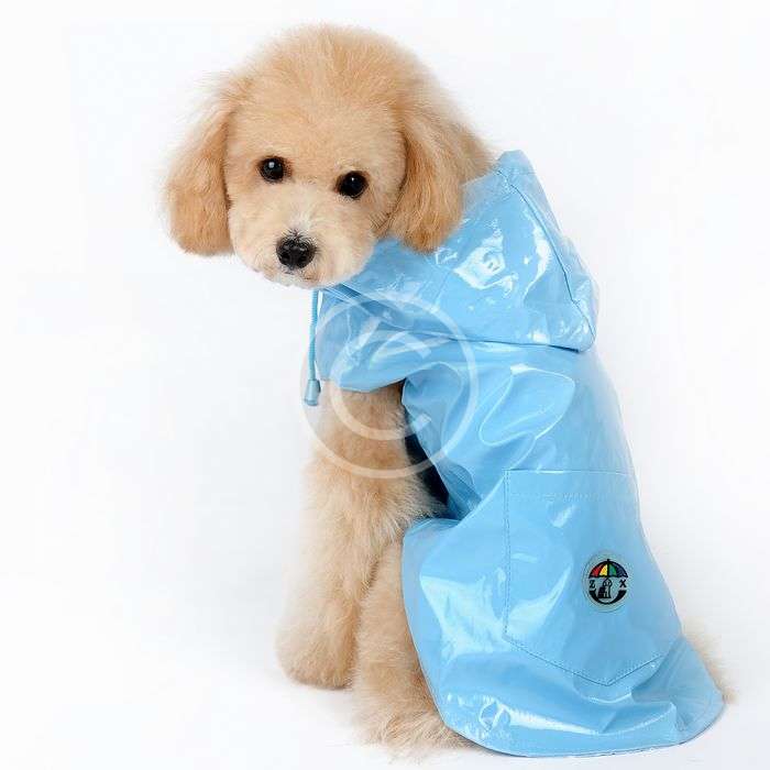 Dog-raincoat-3.jpg