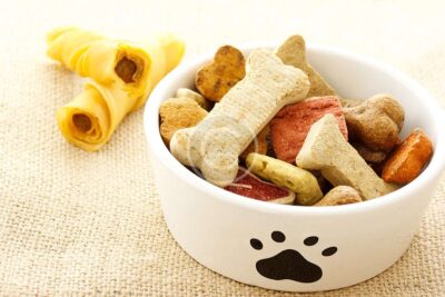 6 Common Pet Food Myths